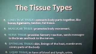 USMLE Step 1  Cardiac Physiology High Yield BRS Concepts [upl. by Gereron715]