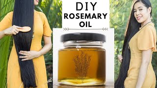 How To Make Rosemary Oil For Faster Hair Growth Thicker Hair amp Prevent Hair Loss Beautyklove [upl. by Harras]