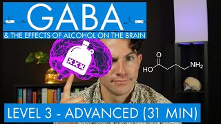 GABA  The Inhibitory Neurotransmitter  Alcohol in the Brain Level 3  Advanced [upl. by Eedrahs]