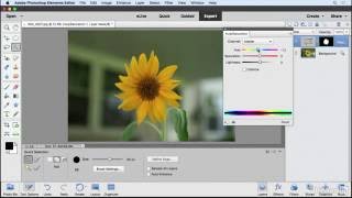 Photoshop Elements Tutorial  Selections and the selection tools [upl. by Ellekcir]