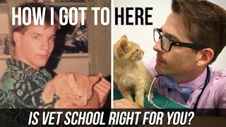 Is Vet School Right For You My Experience [upl. by Fidel]