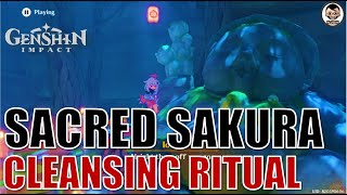 Complete Guide Cleansing Defilement  Sacred Sakura Cleansing Ritual Part1  Genshin Impact [upl. by Ybreh437]