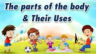 Vital Organs of Our Body Location and Function Educational Video For Kids Kids Cloud [upl. by Ettenav]