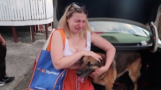 Saying Goodbye to Our Dog  Very Emotional [upl. by Eam]