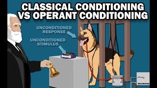 CLASSICAL VS OPERANT CONDITIONING [upl. by Bulley]