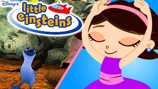 Disney Little Einsteins Blue Footed Booby Bird Ballet Moves amp Choreography Fun Game For Kids [upl. by Marcia]