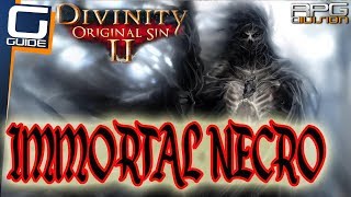 DIVINITY ORIGINAL SIN 2  IMMORTAL NECROMANCER BUILD [upl. by Leay]