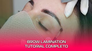 BROW LAMINATION COMO FAZER ❤️ [upl. by Eirojram]