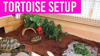 NEW Setting Up My Tortoise Enclosure  DIY Tortoise Table House [upl. by Assirrec]