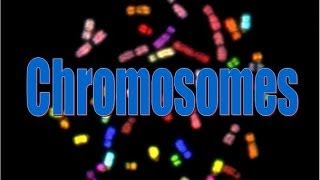 Chromosomes [upl. by Carmina]