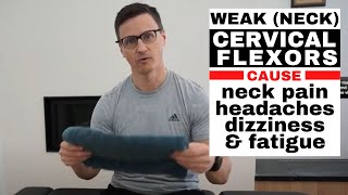 How to Strengthen your DEEP Neck Cervical Flexors [upl. by Oisangi]