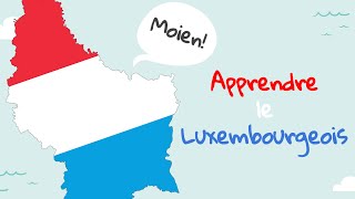 E03 HunnampSinn amp d’Artikelen  APPRENDRE LE LUXEMBOURGEOIS [upl. by Atinehc731]