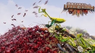 BUG EAT BUG WORLD  Empires Of The Undergrowth  Ep25 [upl. by Eaves385]