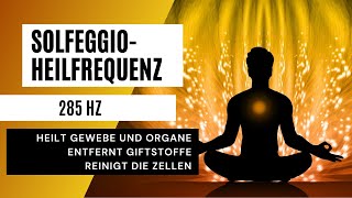 Heilende Frequenz  Heilt Gewebe und Organe Reinigt die Zellen Entfernt Giftstoffe [upl. by Yemrots]