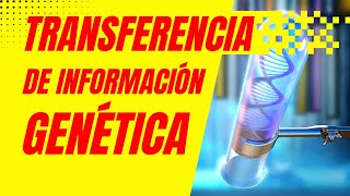 🧬TRANSFERENCIA DE INFORMACION GENÉTICA  BIOLOGIA [upl. by Bueschel]