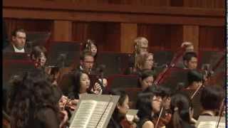 Brahms Symphony No 4  2nd Movement [upl. by Gnuhc]