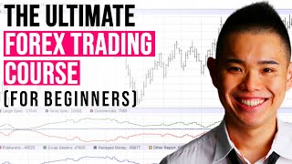 The ULTIMATE Forex Trading Course for Beginners [upl. by Reinhold239]