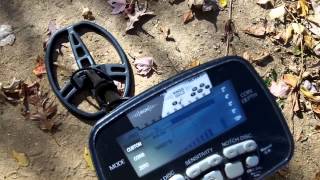 Garrett AT Pro Metal Detector Review amp Depth Test [upl. by Brian]