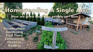 Our 1 Acre Homestead  How We Micro Farm [upl. by Adnor]