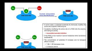 Basics of Drug Interactions EXPLAINED  Inhibition amp Induction [upl. by Nylirek]