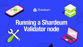 Running a Shardeum Validator Node [upl. by Gross101]