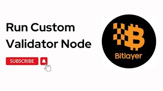 Running Your Custom Validator Node [upl. by Margarette]