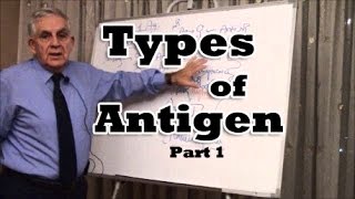 Types of Antigen  Part 1 [upl. by Laktasic]