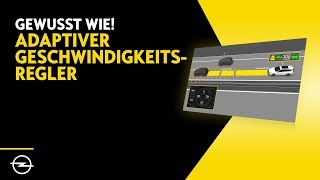 Adaptiver Geschwindigkeitsregler – Gewusst wie [upl. by Sualkcin]