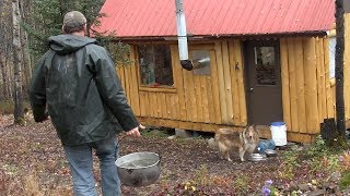 Life in an Off Grid Cabin [upl. by Arremat548]