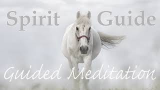 Connect amp Receive Guidance  Meet Your Spirit Guide  Guided Meditation [upl. by Leander]