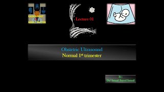 Obstetric Ultrasound Lecture 01 Normal 1st Trimester [upl. by Dicks876]