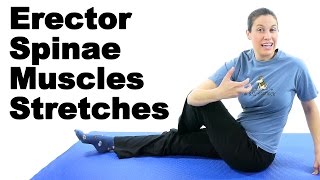 Erector Spinae Muscles Stretches  Ask Doctor Jo [upl. by Ahsatniuq899]