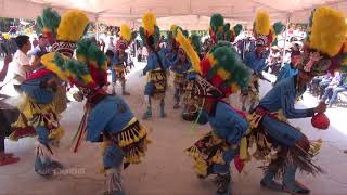 Danza Tipica de Mexico desde Buenavista Tepetongo [upl. by Radbourne]