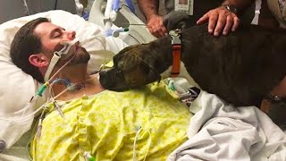 Dog Says Final Goodbye to his Dying Owner In Hospital emotional [upl. by Tengdin115]