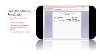 Sage 50  Foreign currency revaluation [upl. by Helmut14]