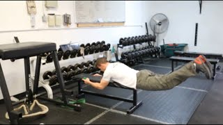 Bodyweight Reverse Hyperextension [upl. by Airpal]