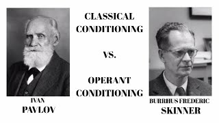 Classical Conditioning vs Operant Conditioning Psychology [upl. by Assillem481]