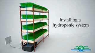 Installing The Hydroponic System [upl. by Dnamron]