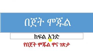 IBEX System 30  አይቤክስ Tutorial PART ONE የኢትዮጵያ መንግስ የፋይናንሻል ሲስተም [upl. by Alister]