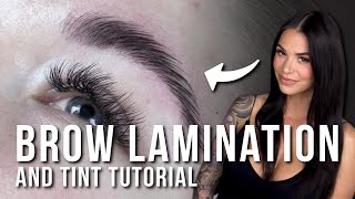 How to Do a Brow Lamination and Tint [upl. by Jenette610]