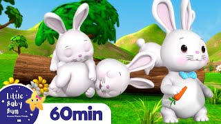 Sleeping Bunnies  LittleBabyBum  Nursery Rhymes for Babies [upl. by Kehsihba]