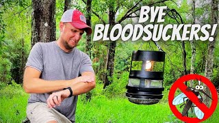 How to Make a DIY Mosquito Trap That Actually Works [upl. by Princess]