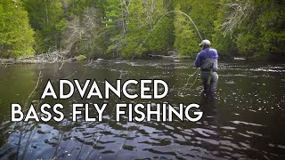 Advanced Bass Fly Fishing [upl. by Purpura735]