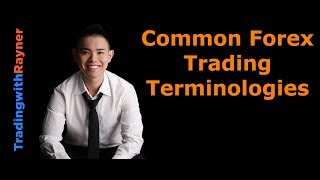 Forex Trading for Beginners 4 Common Forex Trading Terminologies by Rayner Teo [upl. by Etnaihc]