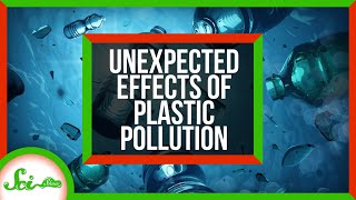 3 Unexpected Effects of Plastic Pollution [upl. by Duffie]