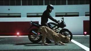 Bike and cheetah ya lili ya lela remix songs 2019 y2h statas [upl. by Aryek372]