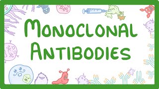 GCSE Biology  Monoclonal Antibodies 40 [upl. by Ibob]