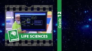 Genetics and Inheritance Mendels Laws  Grade 12 Life Sciences [upl. by Nyahs]