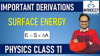 Surface Energy Class 11 Physics term 2 Important Derivations [upl. by Cathey146]