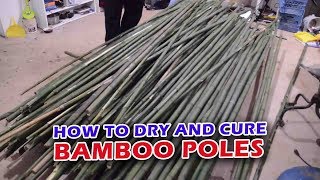 How to Dry and Cure Bamboo Poles [upl. by Yrgoerg]